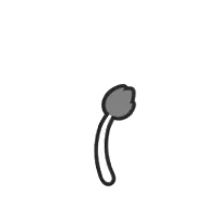 Tail A_004